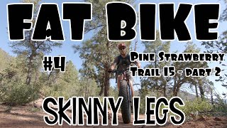 Pine Strawberry Trail #15 (Mohawk Exit to...