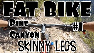PINE CANYON TRAIL #26 (From FR-6038 to Pine TH)