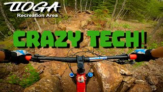 Bloodstone & Thrillseeker! || Tioga...
