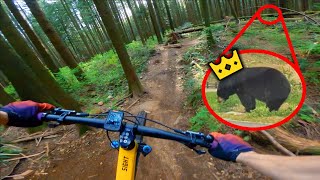 Braap KOM (and a Bear!) | Burke Mountain, BC | MTB