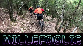 MTB Impruneta 22.05.2021 sentiero MILLEFOGLIE ...