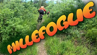MTB Impruneta 22.05.2021 sentiero MILLEFOGLIE...