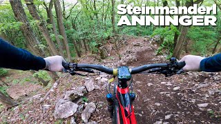 Steinmanderl RAW 2021 - MTB Area Anninger