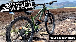 Why The Modern Aggressive Hardtail Is So...