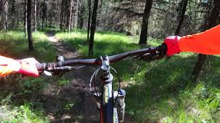 Cardi-Gillard Biking