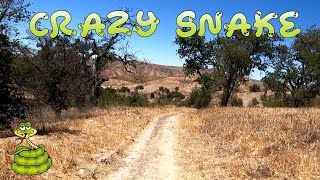 Crazy Snake Trail - Mountain Biking -...