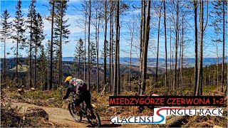 Międzygórze Czerwona 1+2 - Singletrack Glacensis