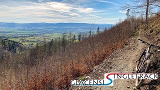 Międzygórze Niebieska 1+2+3 - Singletrack...