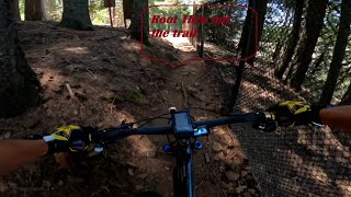 Jenkinson Lake North shore Root Trail