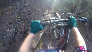 Badgers Run E-Challenge