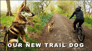 Introducing Storm: Our New Trail Dog