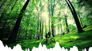 Afternoon MTB