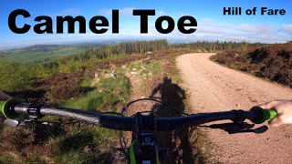 Camel Toe - Hill of Fare