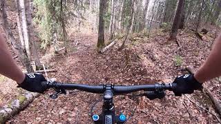 Ginters gulley