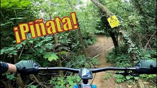 Piñata trail 2021