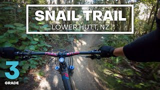 FLOWY FUN - Snail Trail Mountain Bike Trail...