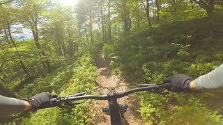 MTB Ljubljana | Veselica - Črna dolina -...