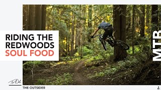 Redwoods, Meadows, Ocean Views | MTB Paradise...