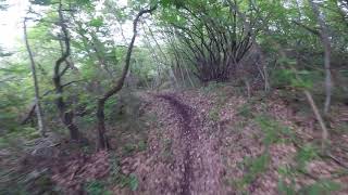 DH Castello, ToroOro Bike Park