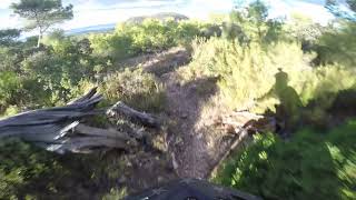 GoPro HD/ Senda Downhill_of The fallen pine