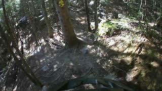 Vélo de montange St-Donat - TNT (section...
