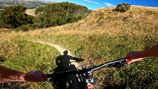 The un-named Trail @ Rangituhi Trail Park....
