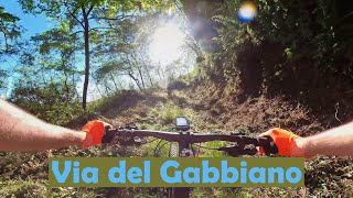 Le Nostre Strade Via del Gabbiano