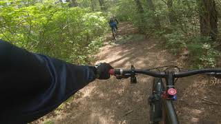 Mt Misery Trail at Brendan Byrne State Forest