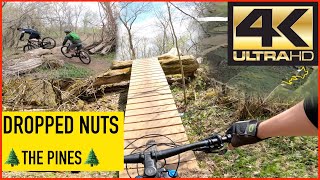 Dropped Nuts - The Pines Woodstock Ontario...