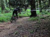 Chain Reaction Cycles Emerald Enduro Preview