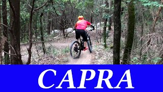 MTB Travalle Calvana 05.06.2021 sentiero CAPRA...