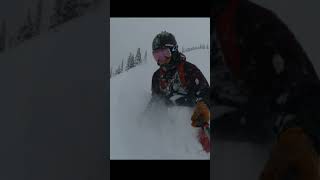 #shorts Nothing beats a face full of POWDER ...