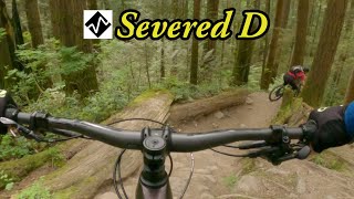 Best Mountain Biking in North Vancouver, BC -...