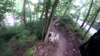 Part of the Roanoke Trails