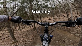 Gurney 2021