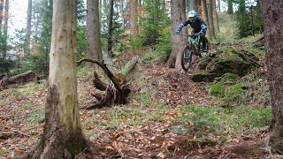 Jackie trail 19 martie 2o2o (work in progress)