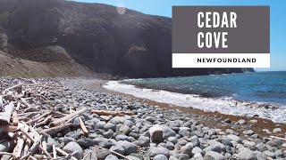 Hiking Cedar Cove, Newfoundland - Drift Wood...