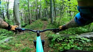 Jackie POV ebike