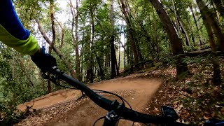 Best MTB Trail in California - Flow Trail |...