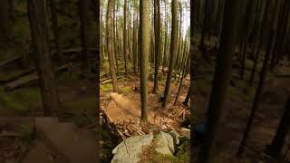 E-Bikes can Fly #shorts #ebike #emountainbike...
