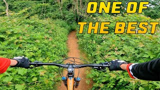 Huber Woods // Most Underrated MTB Trails In NJ