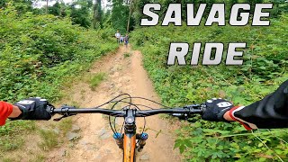 Hartshorne Woods MTB // Overcast Scene