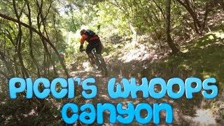 MTB Massa Marittima 12.06.2021 sentieri...