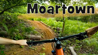 Don Valley Bike Trails: Moartown to Noodle Doodle