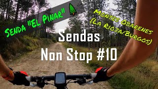 Sendas BTT Sin Cortes #10: El Pinar (Montes...