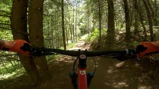 Wilcat : Silver Mt Bike Park  - June 13 2021 |...