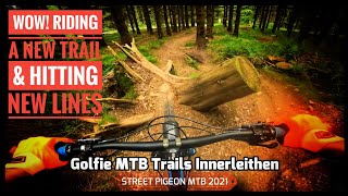 Golfie MTB | Scotland's Trail Wonderland!