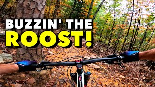 Georgia's newest trail shows it's fall glory.