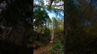 Drops and Steep Rocks in Squamish #shorts...