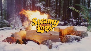 Snowy Virtual Campfire [4K] | Steamy Logs